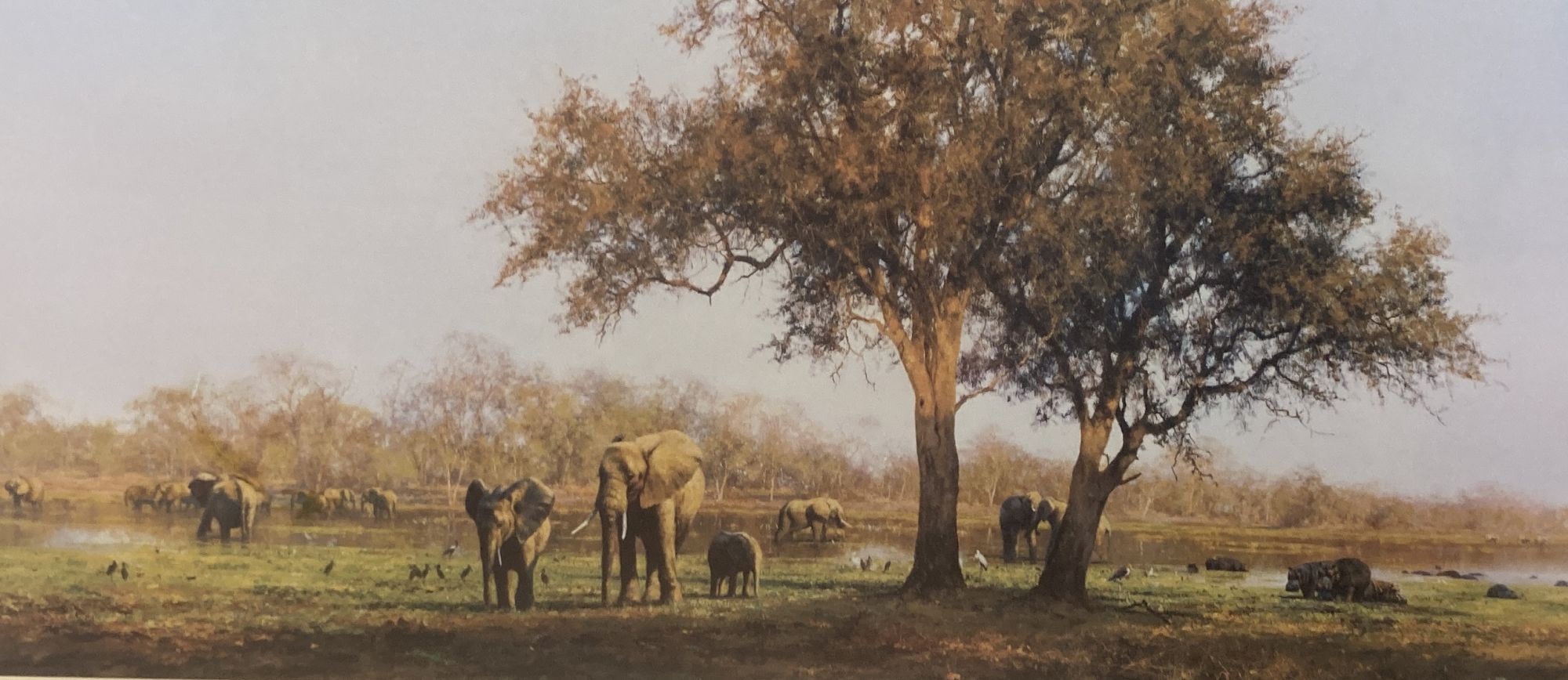 David Shepherd, limited edition print, Luangwa Evening, signed, 185/1500 and The Ivory is Theirs, unsigned, 39 x 73cm and 37 x 75cm